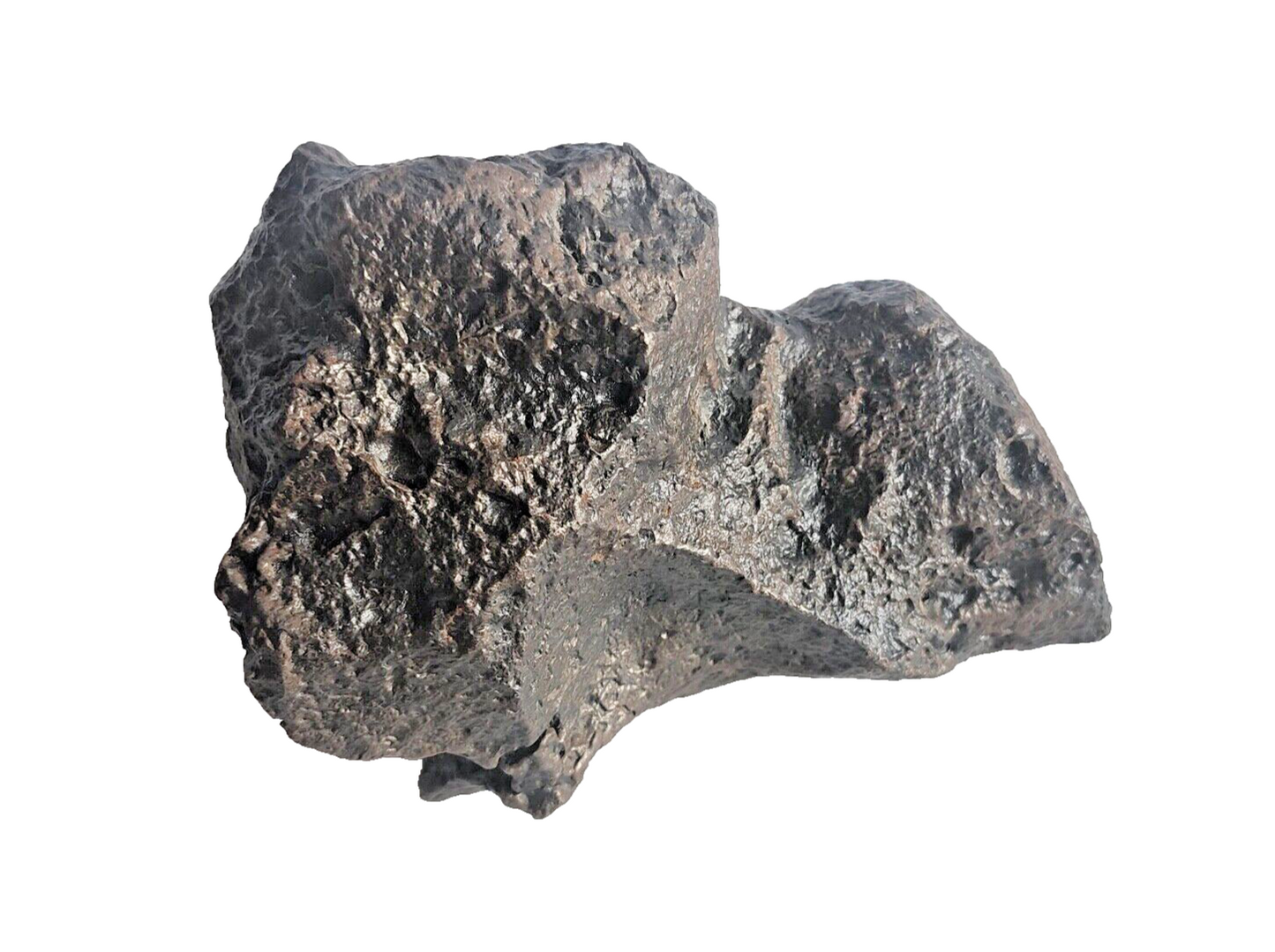 Museum Quality Sensational Specimen New Campo Del Cielo METEORITE Large 7.22 LBS image 2