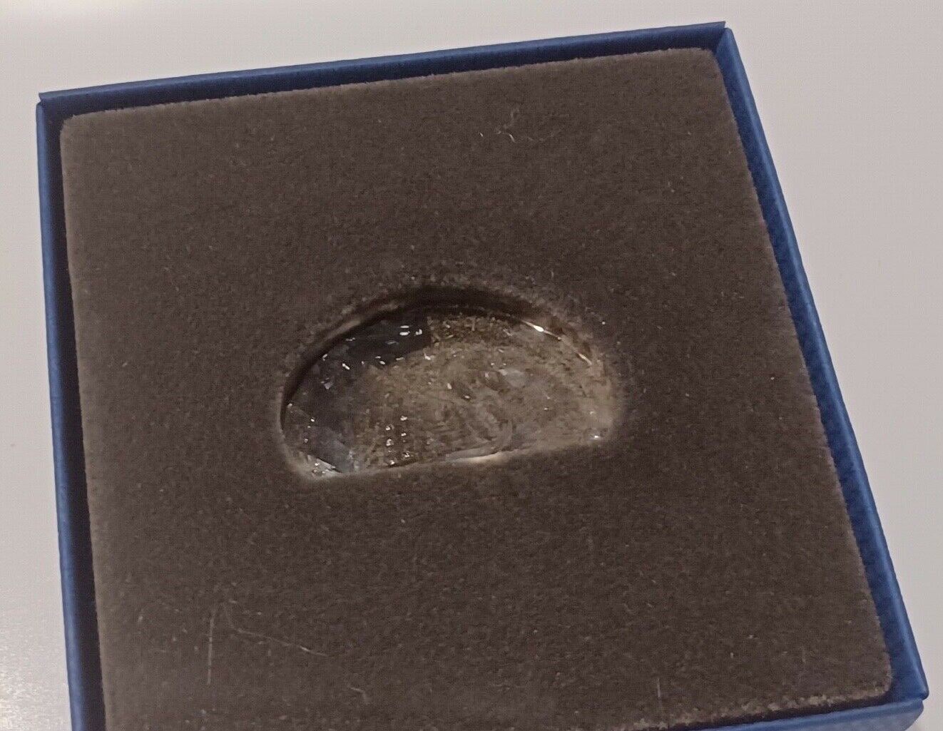 Swarovski Crystal 2015 SCS Peacock Plaque Paperweight Membership Gift 5063699 image 4