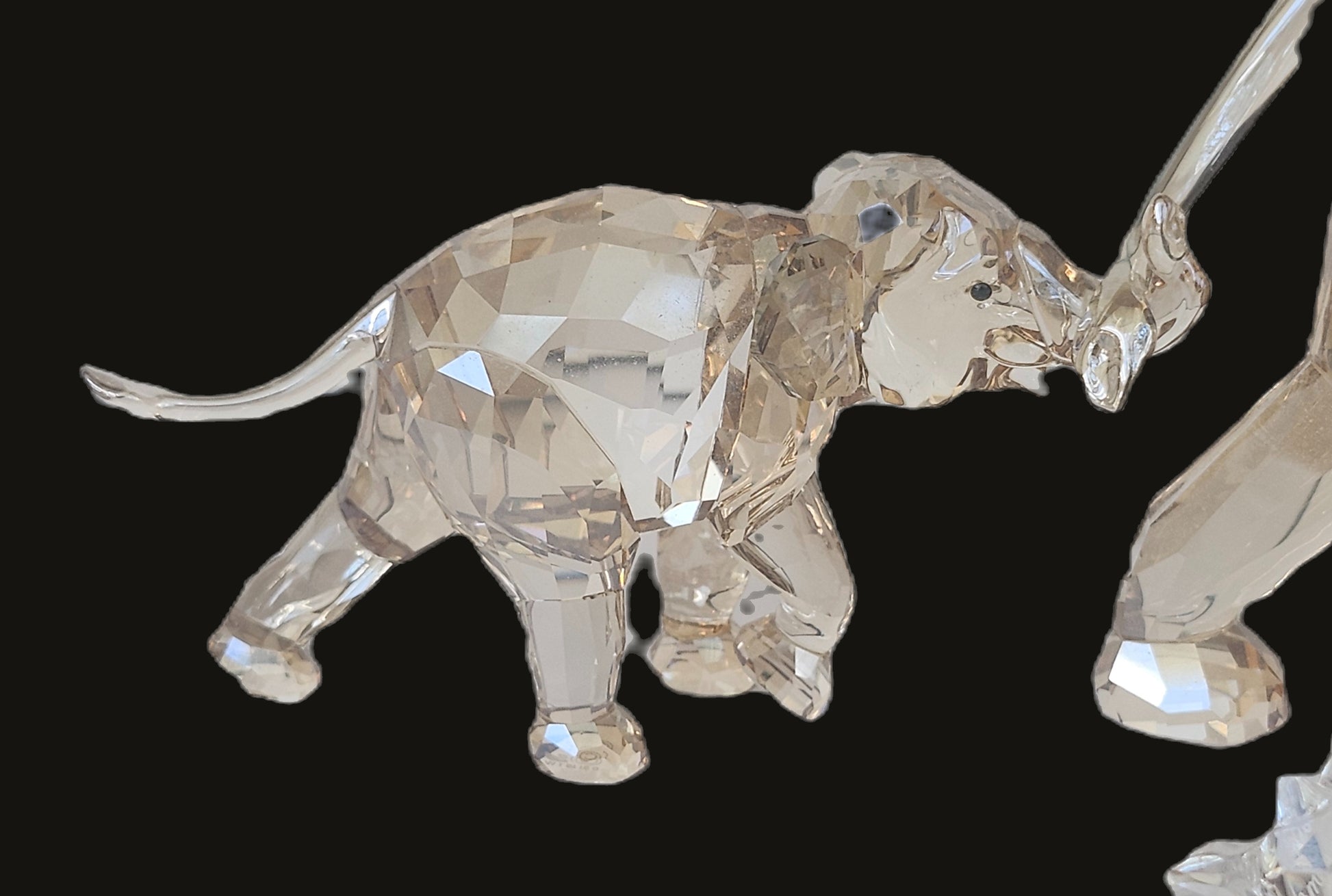 Swarovski SCS Cinta & Young Elephant 1137207 & 1142862 image 4