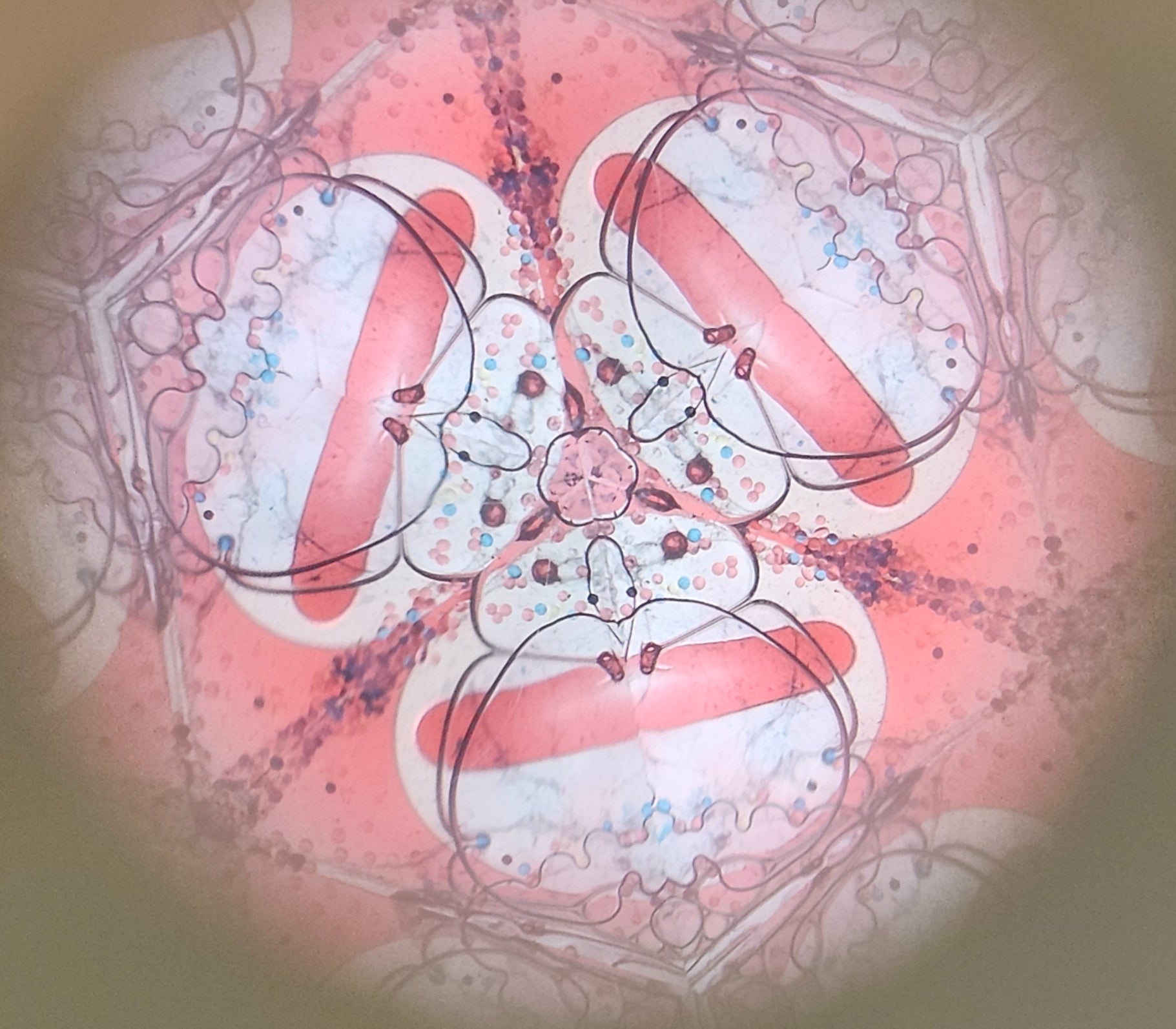 Vintage David Collier Signed Kaleidoscope Brass Wood and Clay image 5