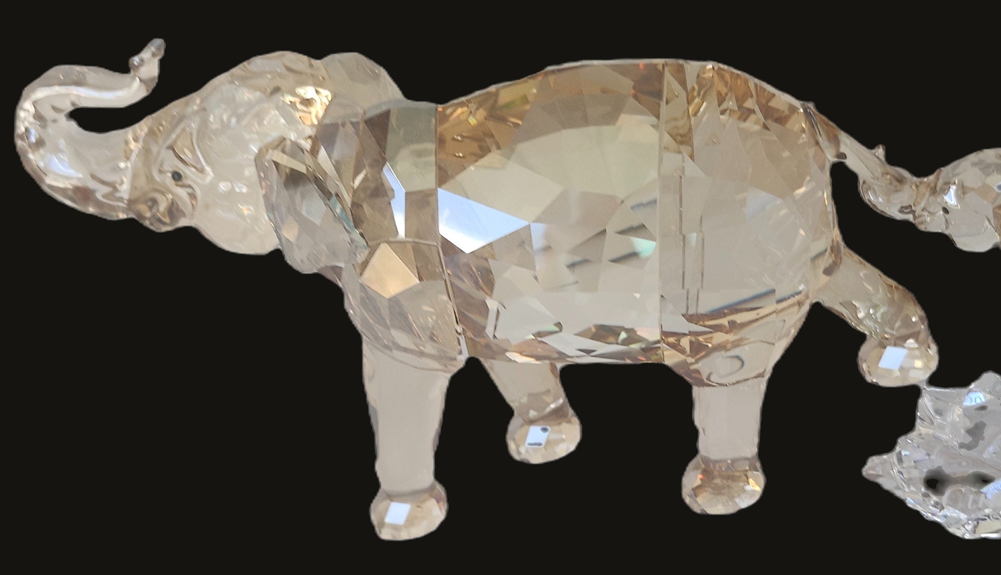 Swarovski SCS Cinta & Young Elephant 1137207 & 1142862 image 7