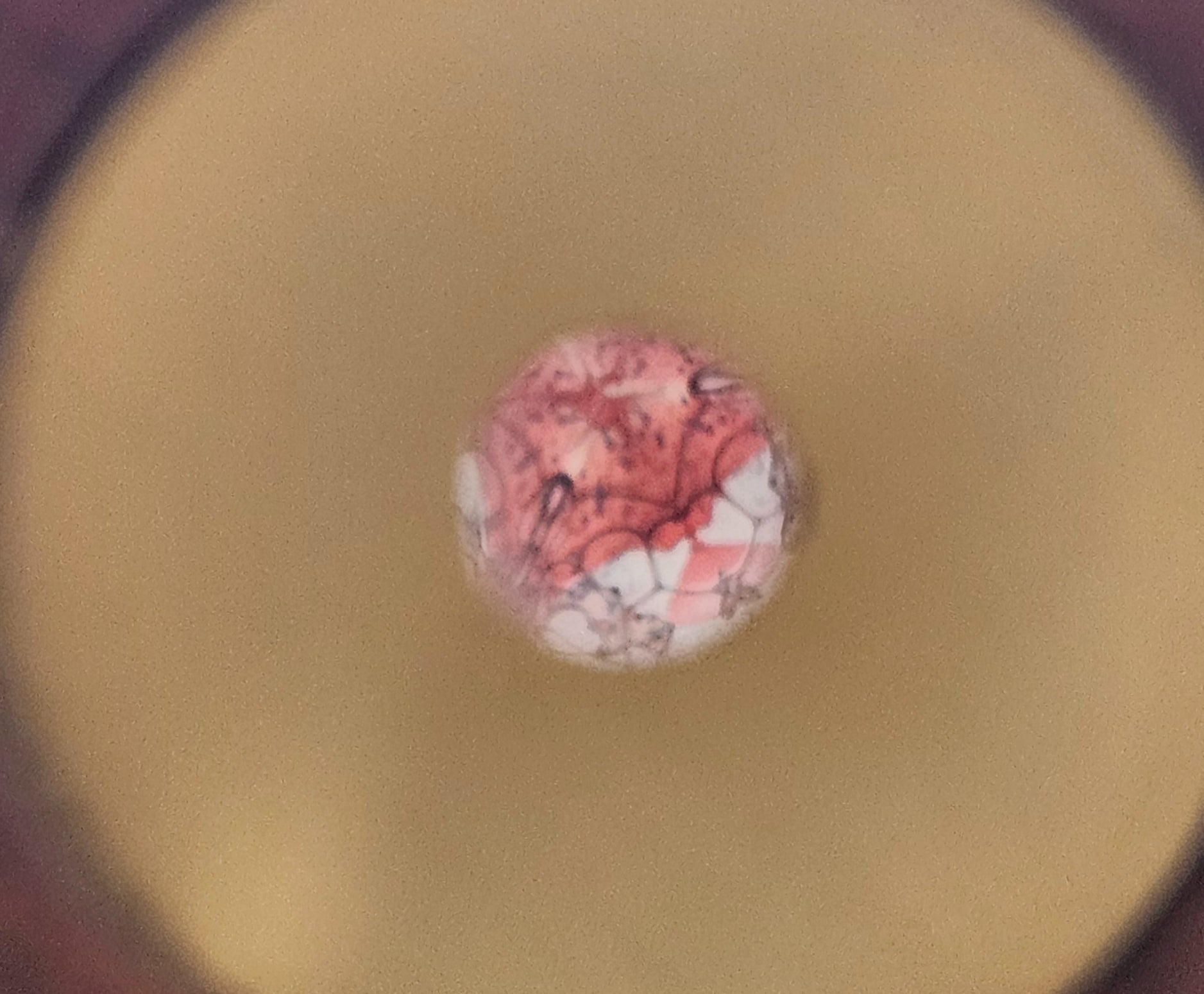 Vintage David Collier Signed Kaleidoscope Brass Wood and Clay image 4