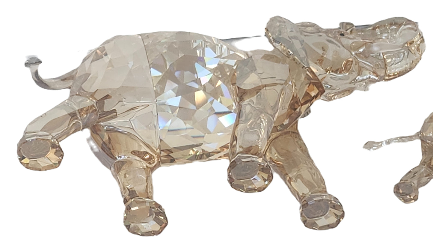 Swarovski SCS Cinta & Young Elephant 1137207 & 1142862 image 9